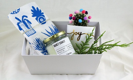 Winter Gift Box With Cactus  |  Toronto best florist Periwinkle Flowers